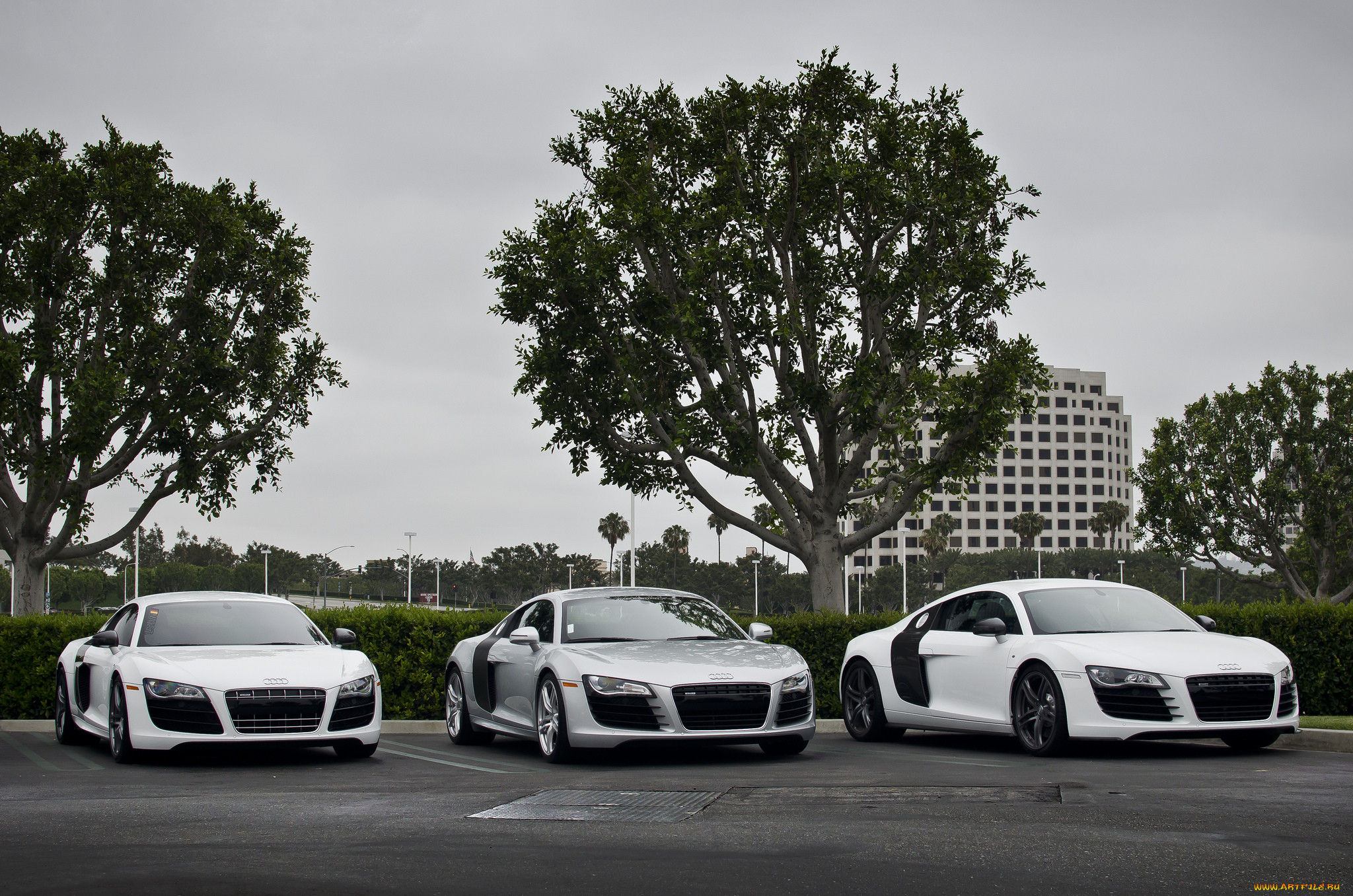 audi r8 lineup, ,    , , 